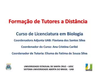 forma o de tutores a dist ncia