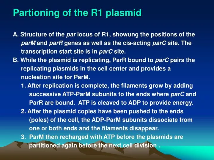partioning of the r1 plasmid