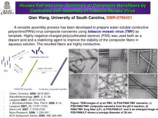 Qian Wang, University of South Carolina, DMR-0706431