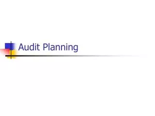 Audit Planning