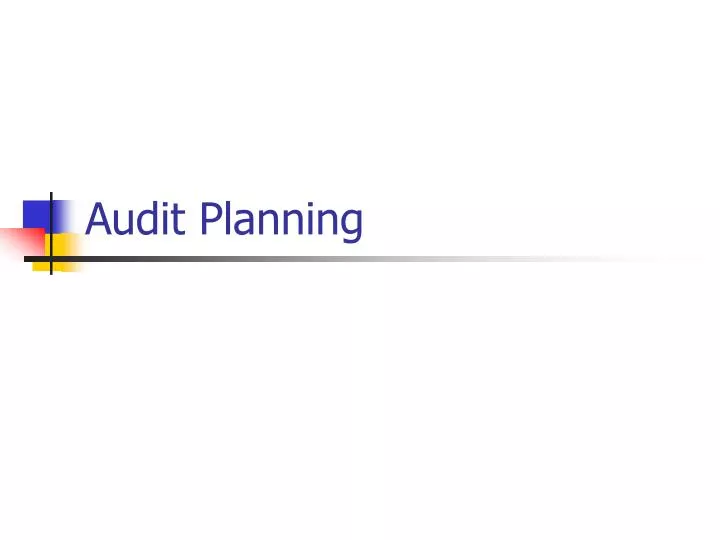 audit planning