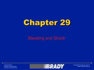 Chapter 29