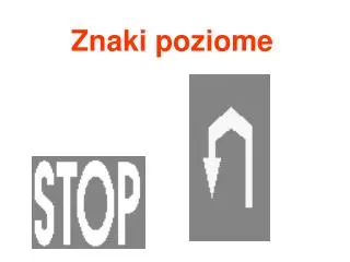 znaki poziome