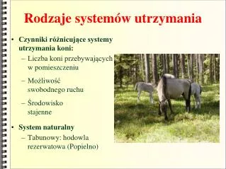 rodzaje system w utrzymania