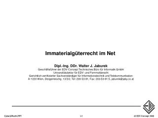 immaterialg terrecht im net