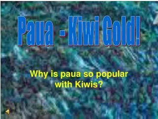 Why is paua so popular with Kiwis?