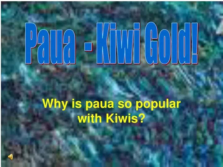 why is paua so popular with kiwis