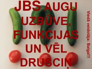jbs augu uzb ve funkcijas un v l drusci