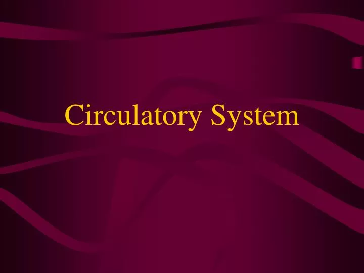 circulatory system