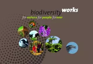 Biodiversity Communication in the Netherlands