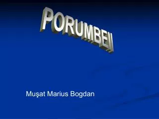 mu at marius bogdan