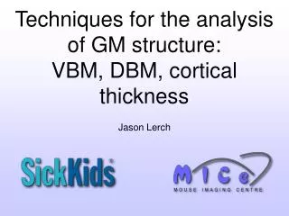 Techniques for the analysis of GM structure: VBM, DBM, cortical thickness