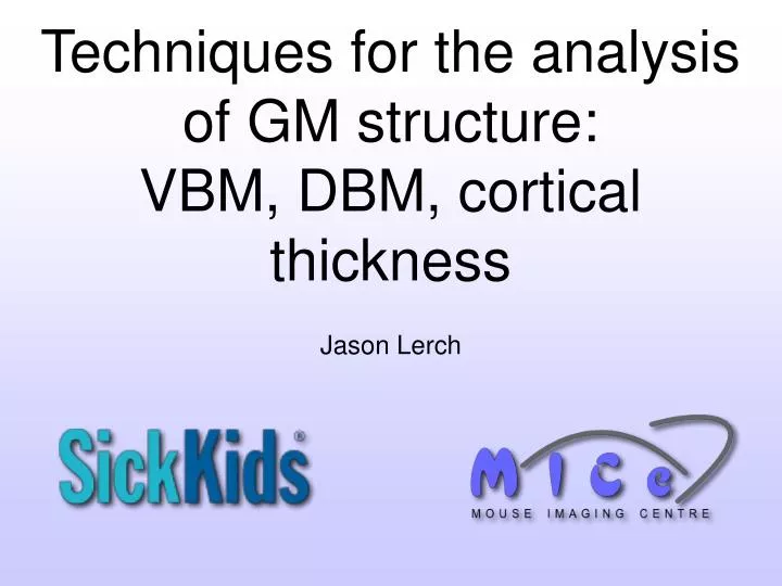 techniques for the analysis of gm structure vbm dbm cortical thickness