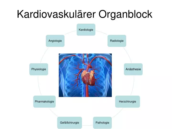 kardiovaskul rer organblock