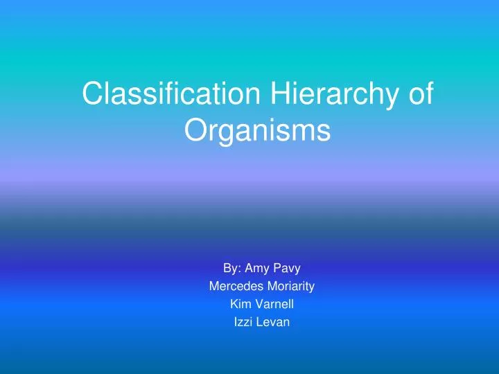 classification hierarchy of organisms