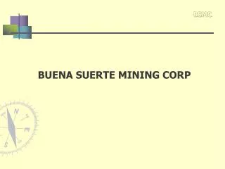 BUENA SUERTE MINING CORP