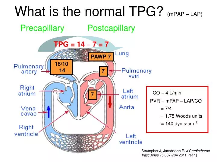 what is the normal tpg mpap lap