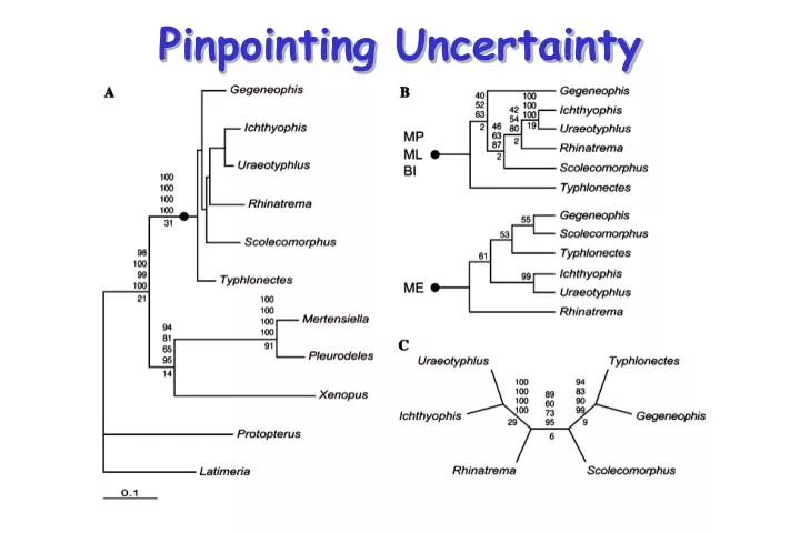 pinpointing uncertainty