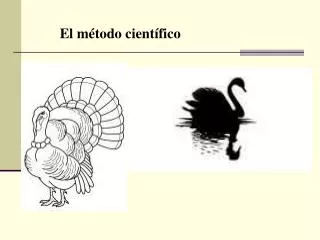 el m todo cient fico