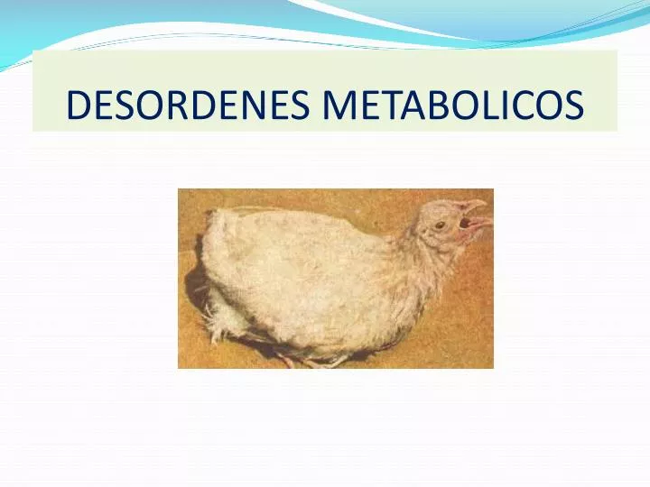 desordenes metabolicos