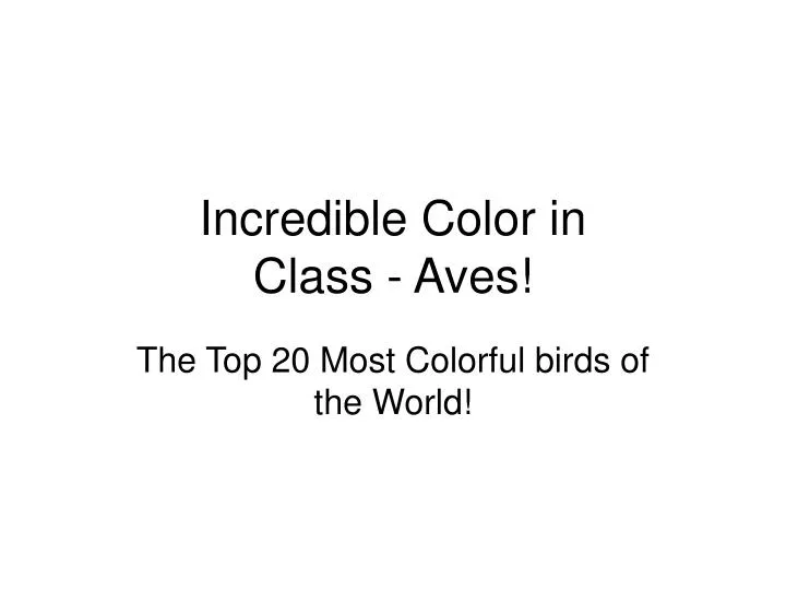 incredible color in class aves