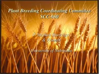 Plant Breeding Coordinating Committee SCC-080