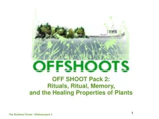 OFF SHOOT Pack 2: Rituals, Ritual, Memory, and the Healing Properties of Plants