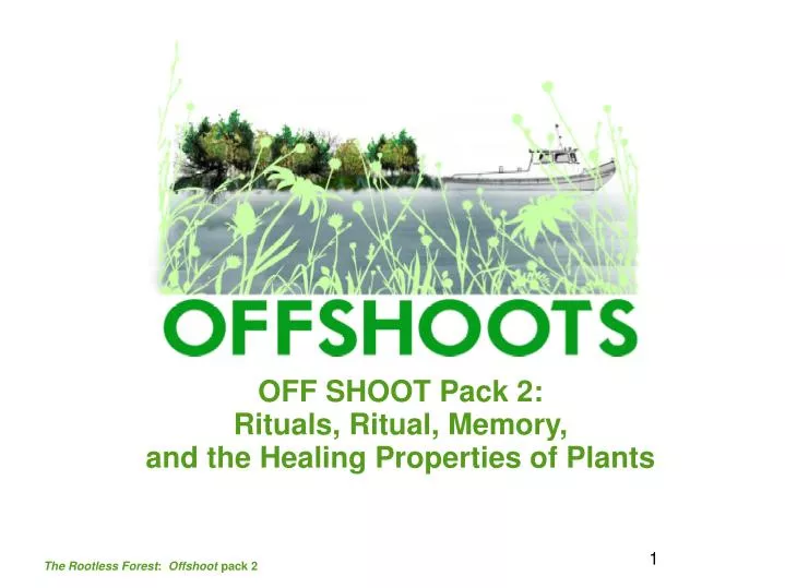 off shoot pack 2 rituals ritual memory and the healing properties of plants