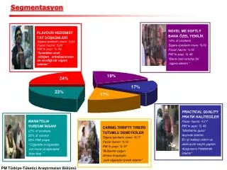 segmentasyon