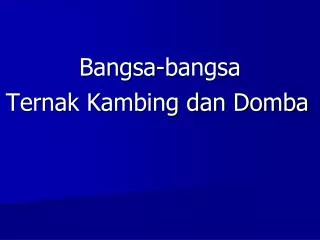 bangsa bangsa
