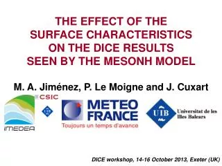 THE EFFECT OF THE SURFACE CHARACTERISTICS ON THE DICE RESULTS SEEN BY THE MESONH MODEL