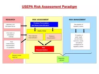 USEPA Risk Assessment Paradigm