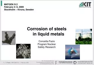 Corrosion of steels in liquid metals