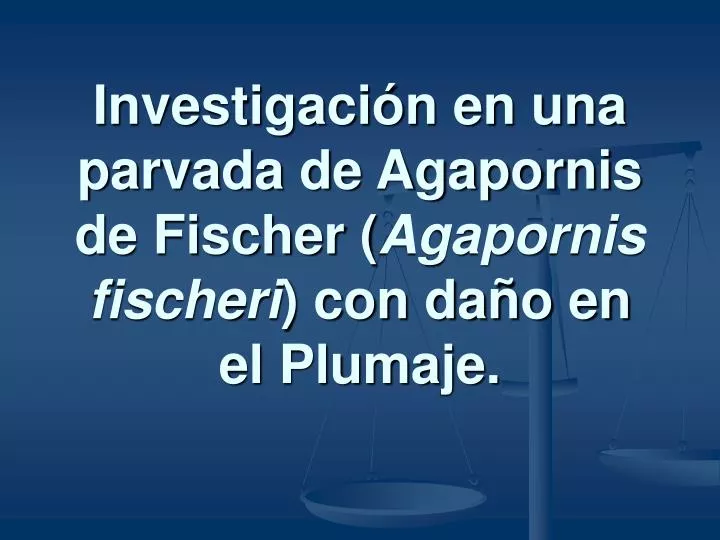 investigaci n en una parvada de agapornis de fischer agapornis fischeri con da o en el plumaje