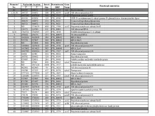 Zaide_et_al_Table_S1_REV