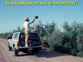 To broadcast or not to broadcast?