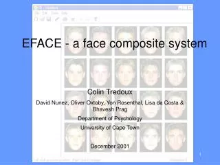EFACE - a face composite system