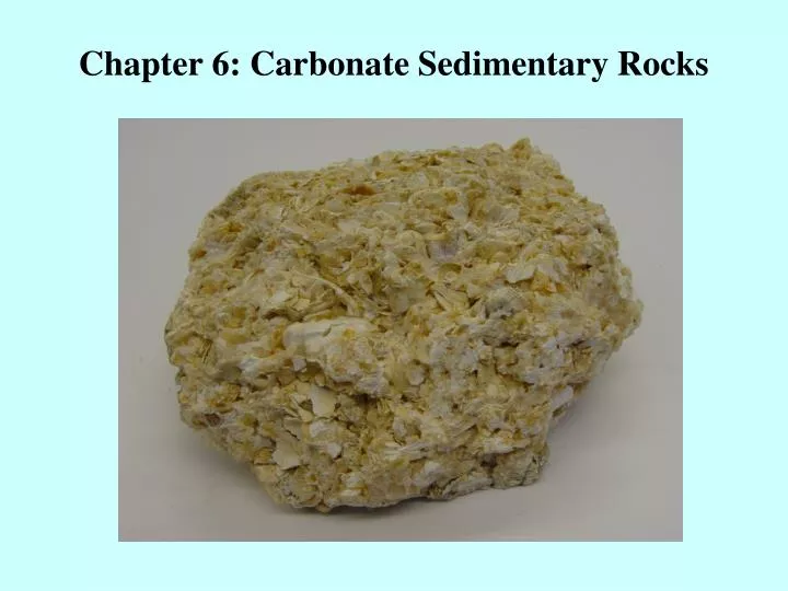 chapter 6 carbonate sedimentary rocks