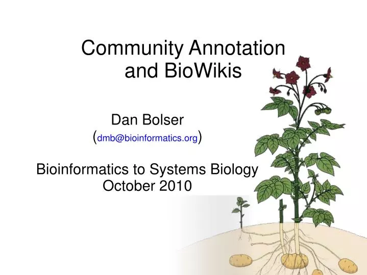dan bolser dmb@bioinformatics org bioinformatics to systems biology october 2010