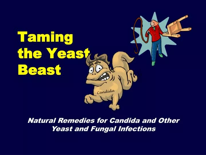 taming the yeast beast