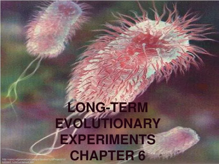 long term evolutionary experiments chapter 6