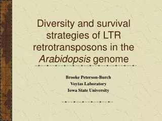 Diversity and survival strategies of LTR retrotransposons in the Arabidopsis genome