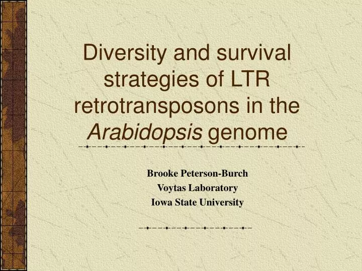 diversity and survival strategies of ltr retrotransposons in the arabidopsis genome