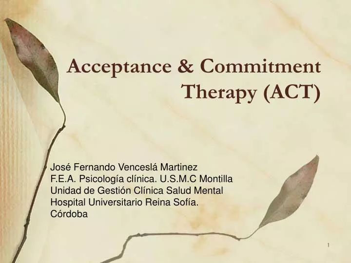 acceptance commitment therapy act