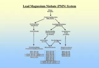 Lead Magnesium Niobate (PMN) System