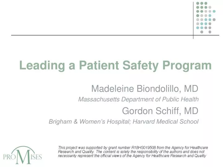 leading a patient safety program