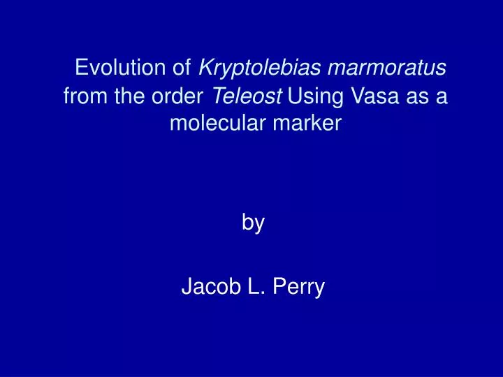 evolution of kryptolebias marmoratus from the order teleost using vasa as a molecular marker