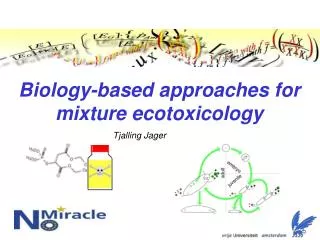 Biology-based approaches for mixture ecotoxicology