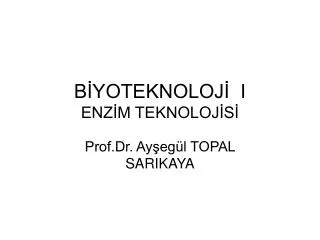 b yoteknoloj i enz m teknoloj s
