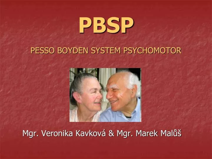 pbsp pesso boyden system psychomotor